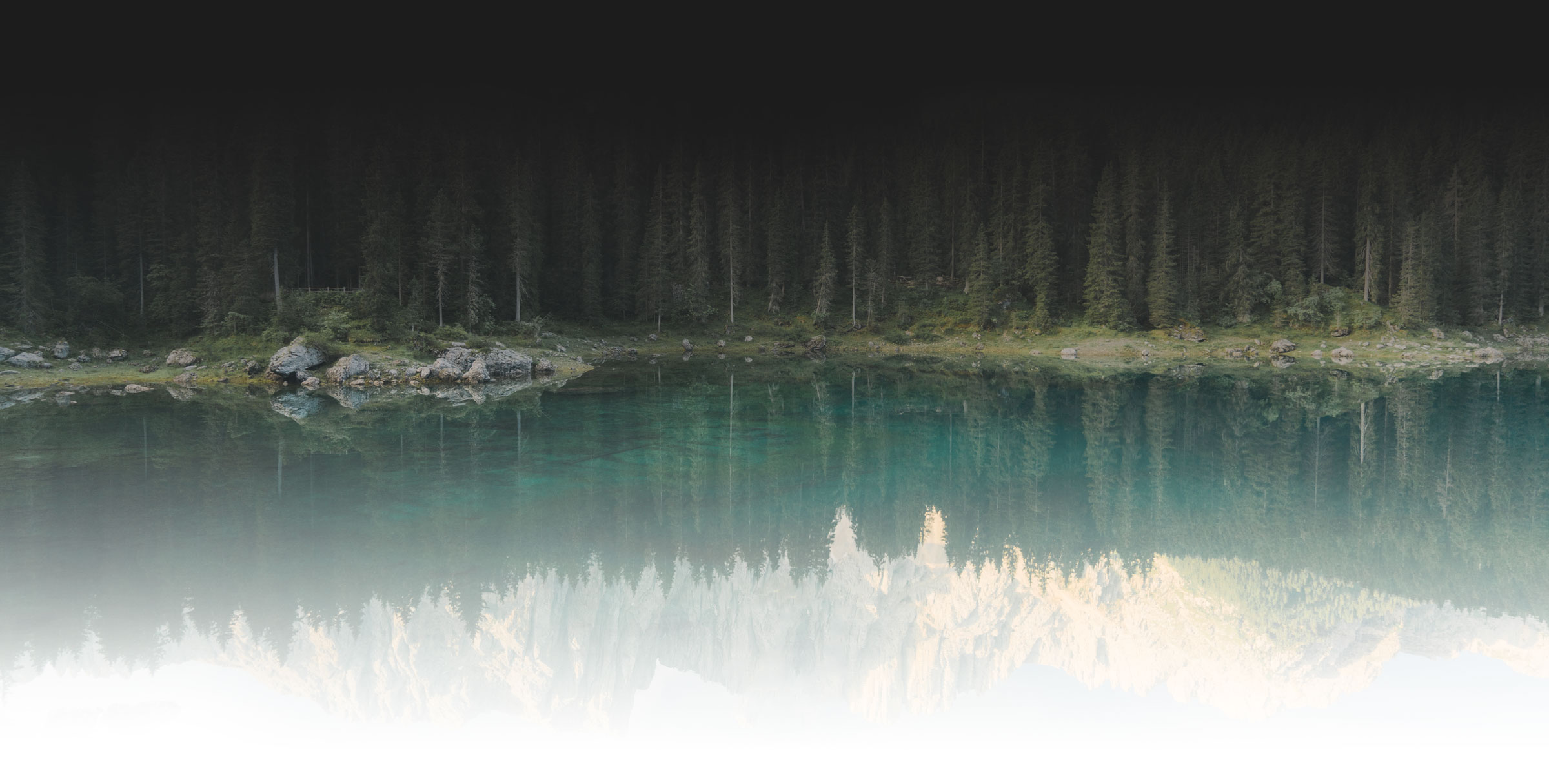 Spiegelung von Bäumen in einem Bergsee